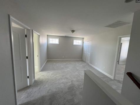 250 Meadow Saffron Drive Lexington SC 29073