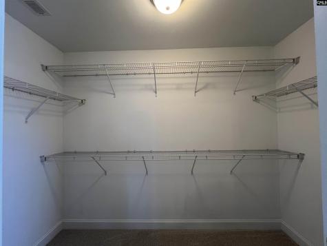 250 Meadow Saffron Drive Lexington SC 29073