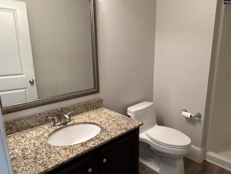250 Meadow Saffron Drive Lexington SC 29073