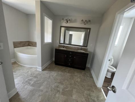 250 Meadow Saffron Drive Lexington SC 29073
