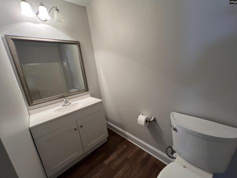 250 Meadow Saffron Drive Lexington SC 29073