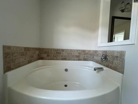 250 Meadow Saffron Drive Lexington SC 29073
