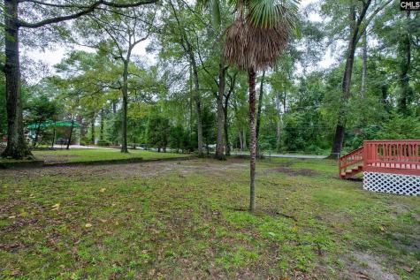 4243 Mandel Drive Columbia SC 29210-4333