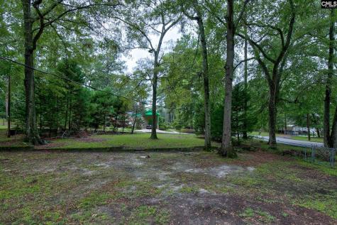 4243 Mandel Drive Columbia SC 29210-4333