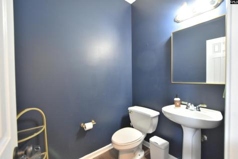 305 Belfair Road Irmo SC 29063