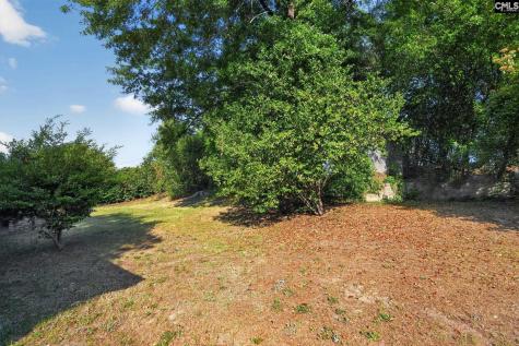 241 Chartwell Road Columbia SC 29210