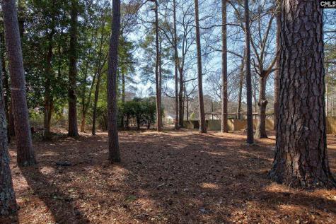 3230 Bush River Road Columbia SC 29210