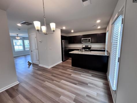 1171 Ederbach Drive Lexington SC 29073-9810