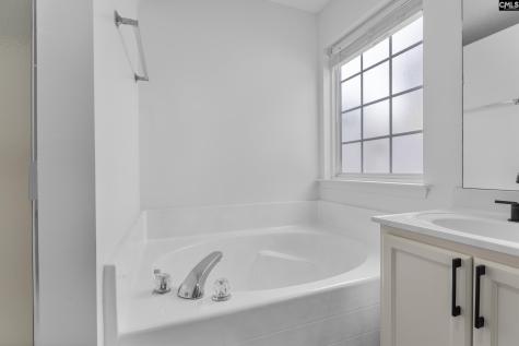 245 Loskin Lane Lexington SC 29073
