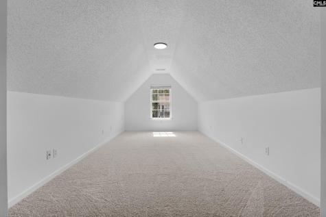 245 Loskin Lane Lexington SC 29073
