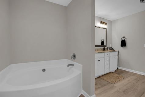 652 Rose Quartz Lane Lexington SC 29073