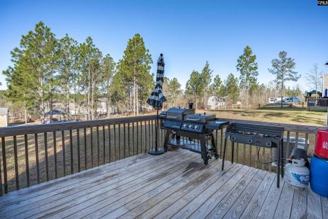 652 Rose Quartz Lane Lexington SC 29073