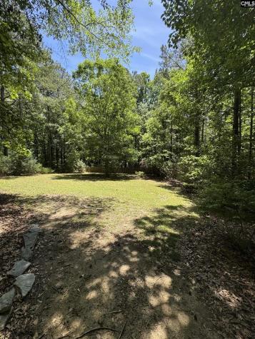 118 Waterton Way Columbia SC 29229