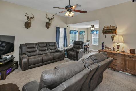 15 Rosepine Drive Columbia SC 29223