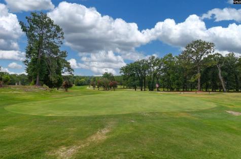 244 Long Iron Court West Columbia SC 29172
