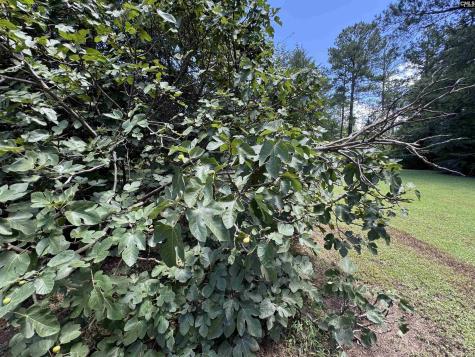2370 Old Douglass Road Winnsboro SC 29180