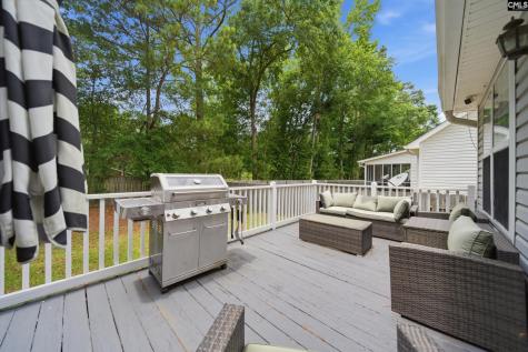 145 Pear Court Lexington SC 29073