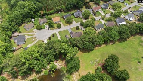 145 Pear Court Lexington SC 29073