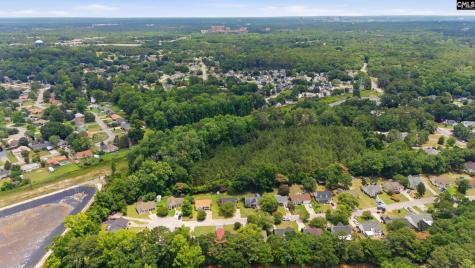 145 Pear Court Lexington SC 29073