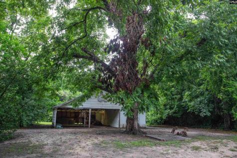 207 N Lee Street Bishopville SC 29010-0000