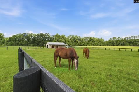 143 Ascot Drive Camden SC 29020