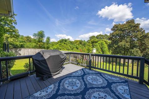 168 Royal Lythan Drive Lexington SC 29072