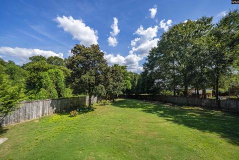 168 Royal Lythan Drive Lexington SC 29072