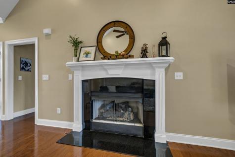 168 Royal Lythan Drive Lexington SC 29072