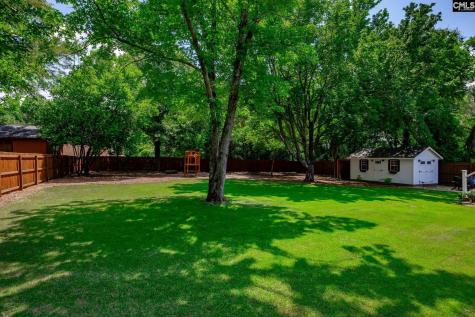 116 Fox Street Lexington SC 29072