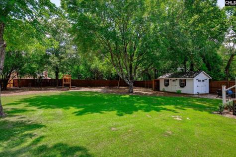 116 Fox Street Lexington SC 29072