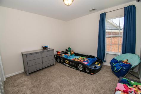 776 Saxony Drive Irmo SC 29036