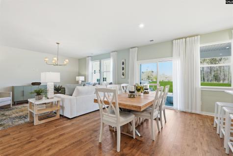 631 Griffon Drive Chapin SC 29036