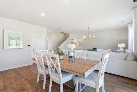 631 Griffon Drive Chapin SC 29036