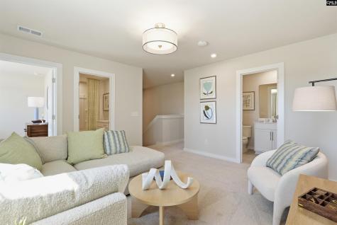 631 Griffon Drive Chapin SC 29036