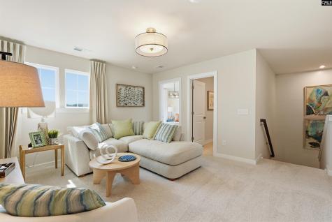 631 Griffon Drive Chapin SC 29036