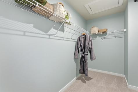 631 Griffon Drive Chapin SC 29036