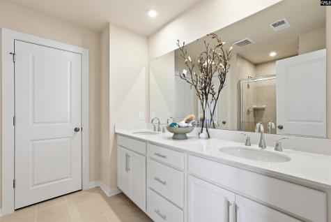 631 Griffon Drive Chapin SC 29036