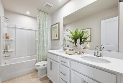 631 Griffon Drive Chapin SC 29036