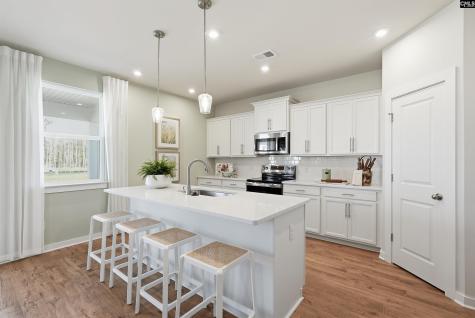 631 Griffon Drive Chapin SC 29036