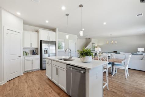 631 Griffon Drive Chapin SC 29036