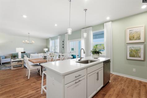 631 Griffon Drive Chapin SC 29036