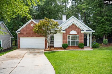 42 Cedar Top Lane Columbia SC 29212-0000