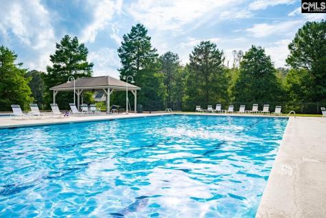 42 Cedar Top Lane Columbia SC 29212-0000