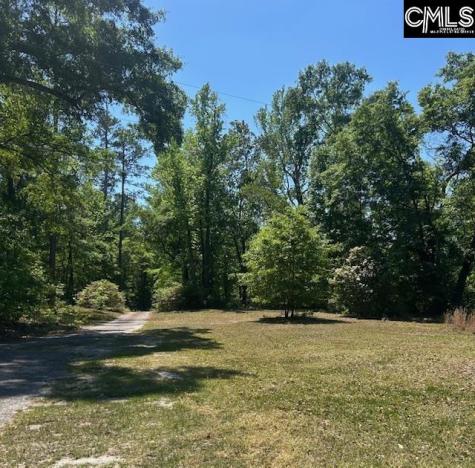 175 Geiger Lane Gaston SC 29053
