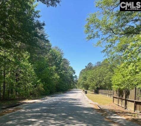 175 Geiger Lane Gaston SC 29053