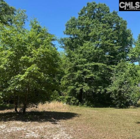 175 Geiger Lane Gaston SC 29053