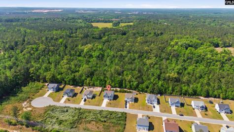 136 Tall Pines Road Gaston SC 29053