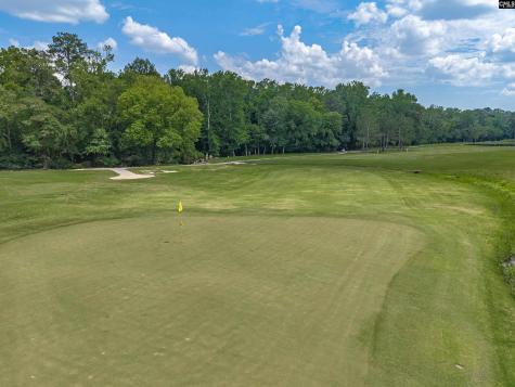 201 Muirfield Way Lexington SC 29072