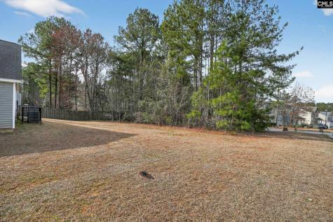 302 Blythe Creek Drive Blythewood SC 29016
