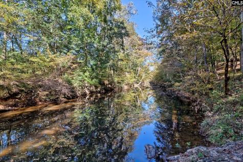 230 Cedar Shoals Way Blythewood SC 29016-8455